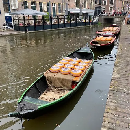 Hotel King Centre 2*